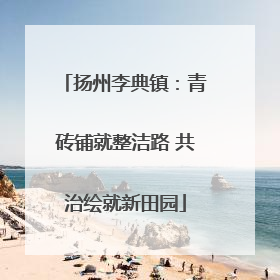 扬州李典镇：青砖铺就整洁路 共治绘就新田园