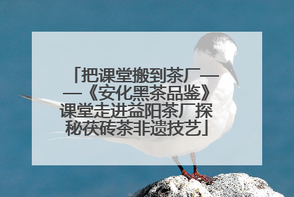 把课堂搬到茶厂——《安化黑茶品鉴》课堂走进益阳茶厂探秘茯砖茶非遗技艺
