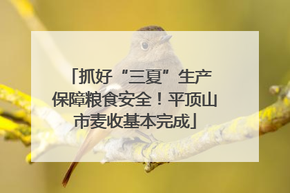 抓好“三夏”生产 保障粮食安全！平顶山市麦收基本完成