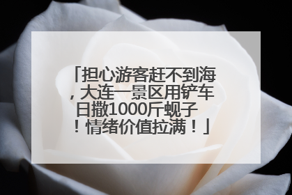 担心游客赶不到海，大连一景区用铲车日撒1000斤蚬子！情绪价值拉满！