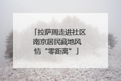 拉萨周走进社区 南京居民藏地风情“零距离”