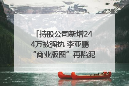 持股公司新增244万被强执 李亚鹏“商业版图”再陷泥潭？｜科技观察