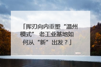 挥刃向内重塑“温州模式” 老工业基地如何从“新”出发？