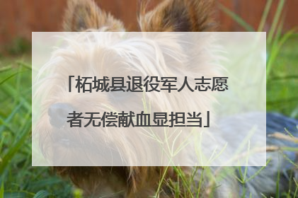 柘城县退役军人志愿者无偿献血显担当