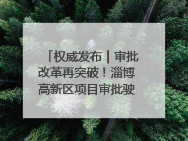 权威发布｜审批改革再突破！淄博高新区项目审批驶入“快车道”