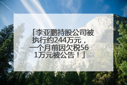 李亚鹏持股公司被执行约244万元，一个月前因欠税561万元被公告！