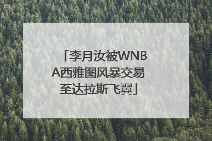 李月汝被WNBA西雅图风暴交易至达拉斯飞翼