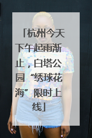 杭州今天下午起雨渐止，白塔公园“绣球花海”限时上线