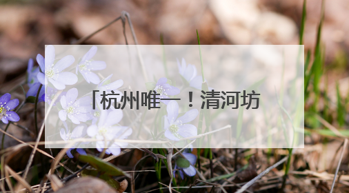 杭州唯一！清河坊历史文化街区再获一块“金字招牌”