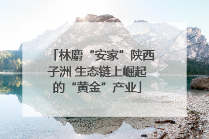 林麝“安家”陕西子洲 生态链上崛起的“黄金”产业