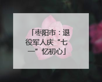 枣阳市：退役军人庆“七一”忆初心