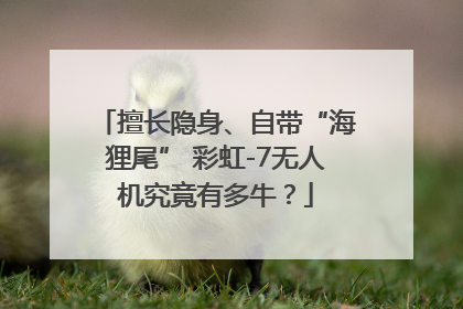 擅长隐身、自带“海狸尾” 彩虹-7无人机究竟有多牛？