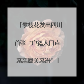 攀枝花发出四川首张“户籍人口直系亲属关系谱”