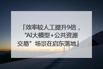 效率较人工提升9倍，“AI大模型+公共资源交易”场景在启东落地