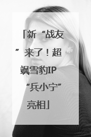 新“战友”来了！超飒雪豹IP“兵小宁”亮相