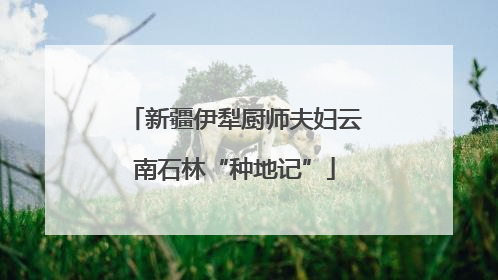 新疆伊犁厨师夫妇云南石林“种地记”