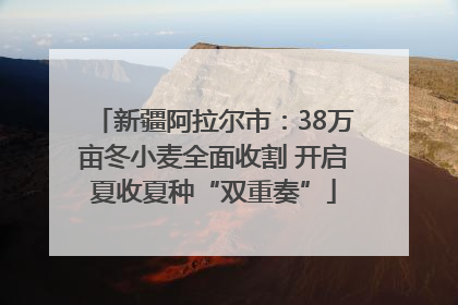 新疆阿拉尔市：38万亩冬小麦全面收割 开启夏收夏种“双重奏”
