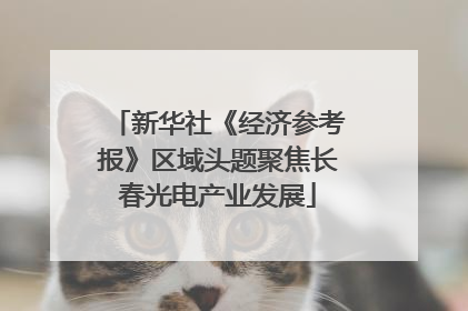 新华社《经济参考报》区域头题聚焦长春光电产业发展