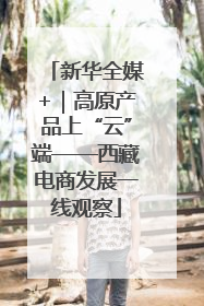 新华全媒+｜高原产品上“云”端——西藏电商发展一线观察