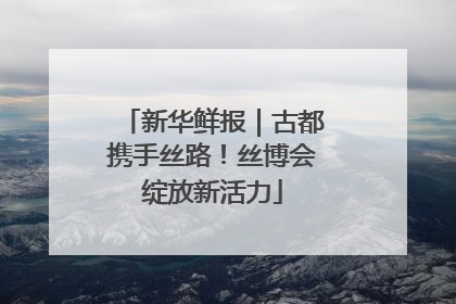 新华鲜报｜古都携手丝路！丝博会绽放新活力