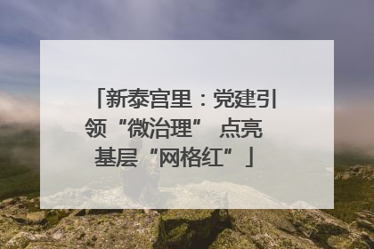 新泰宫里：党建引领“微治理” 点亮基层“网格红”