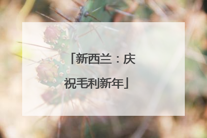 新西兰：庆祝毛利新年