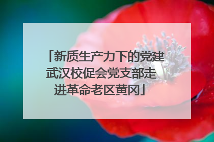 新质生产力下的党建 武汉校促会党支部走进革命老区黄冈