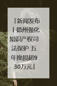 新闻发布丨德州强化知识产权司法保护 五年挽损超930万元