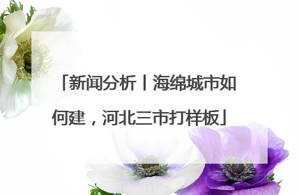 新闻分析丨海绵城市如何建，河北三市打样板