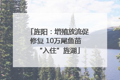 旌阳：增殖放流促修复 10万尾鱼苗“入住”旌湖