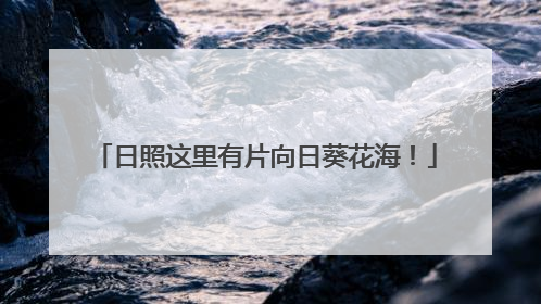 日照这里有片向日葵花海！