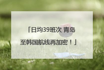 日均39班次 青岛至韩国航线再加密！