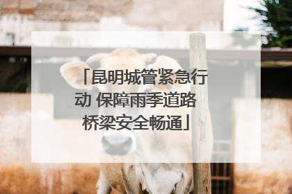 昆明城管紧急行动 保障雨季道路桥梁安全畅通
