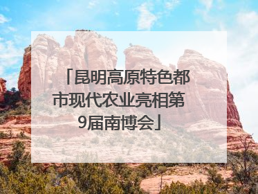 昆明高原特色都市现代农业亮相第9届南博会