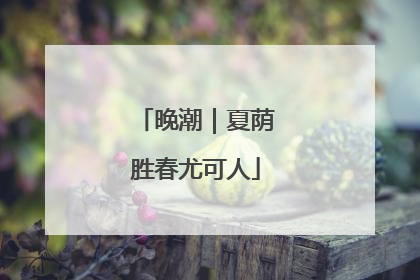 晚潮｜夏荫胜春尤可人