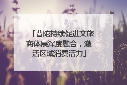 普陀持续促进文旅商体展深度融合，激活区域消费活力