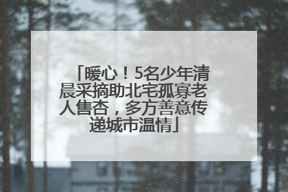 暖心！5名少年清晨采摘助北宅孤寡老人售杏，多方善意传递城市温情