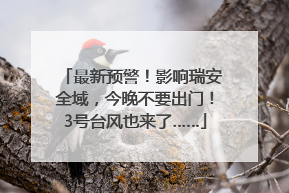 最新预警！影响瑞安全域，今晚不要出门！3号台风也来了……