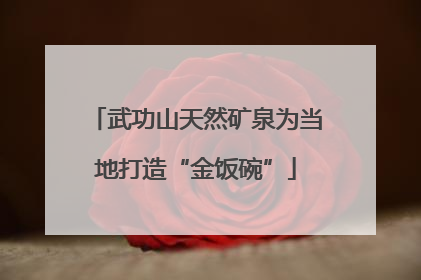 武功山天然矿泉为当地打造“金饭碗”
