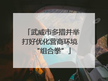 武威市多措并举打好优化营商环境“组合拳”