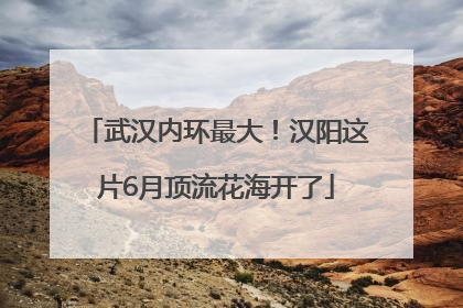 武汉内环最大！汉阳这片6月顶流花海开了