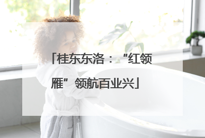 桂东东洛：“红领雁”领航百业兴