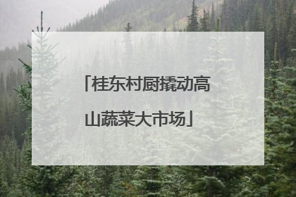 桂东村厨撬动高山蔬菜大市场