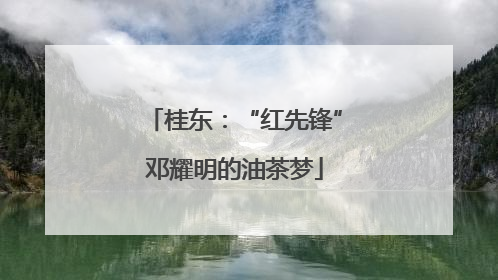 桂东：“红先锋”邓耀明的油茶梦