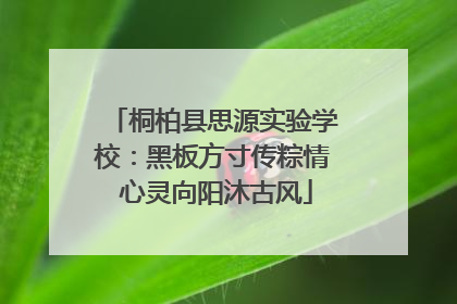 桐柏县思源实验学校：黑板方寸传粽情 心灵向阳沐古风