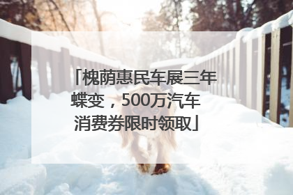 槐荫惠民车展三年蝶变，500万汽车消费券限时领取