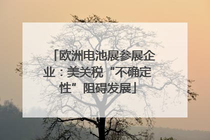 欧洲电池展参展企业：美关税“不确定性”阻碍发展