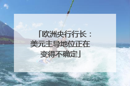 欧洲央行行长：美元主导地位正在变得不确定