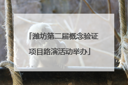 潍坊第二届概念验证项目路演活动举办