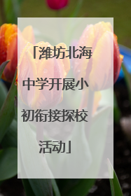 潍坊北海中学开展小初衔接探校活动